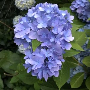 Meet your Posher, Lee N